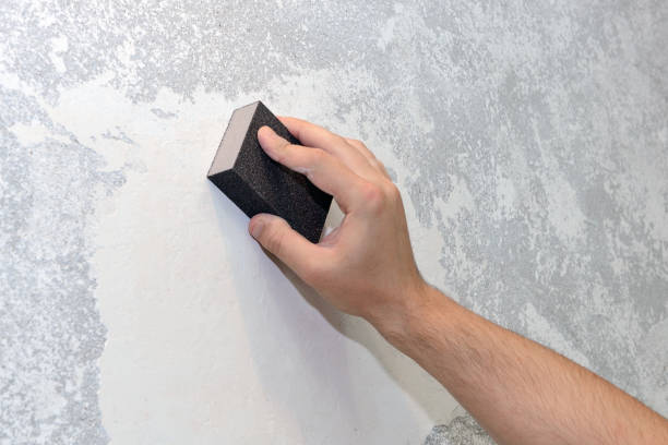 Best Mold Remediation for Healthcare Facilities  in Franklin Park, FL