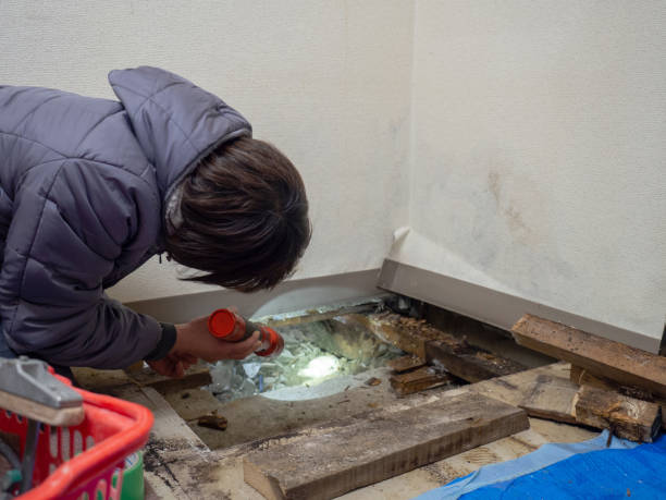 Best Air Quality Testing for Mold Spores  in Franklin Park, FL