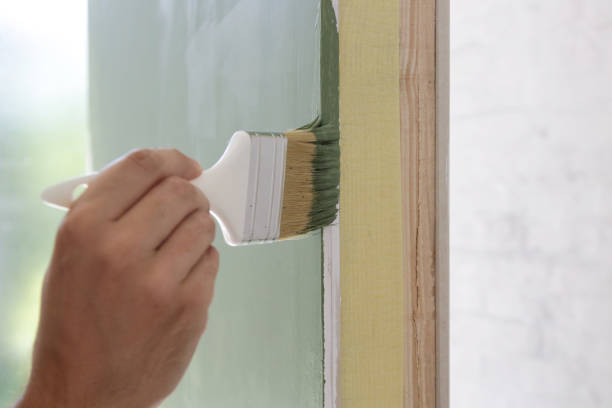 Trusted Franklin Park, FL Mold Removal Experts