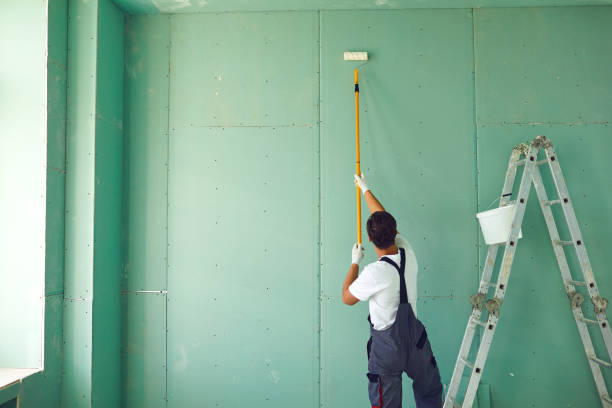 Best Mold Odor Removal Services  in Franklin Park, FL