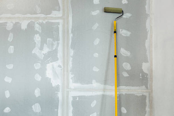  Franklin Park, FL Mold Removal Pros