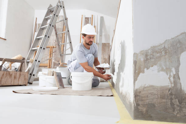 Best Real Estate Mold Inspection  in Franklin Park, FL