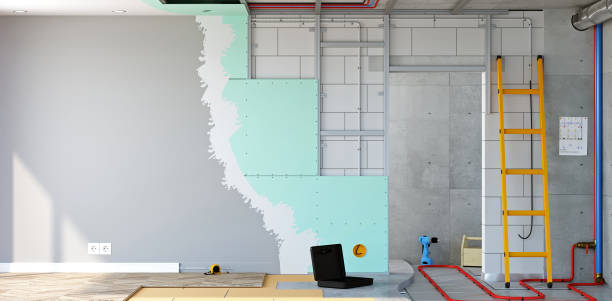 Best Post-Construction Mold Inspection  in Franklin Park, FL