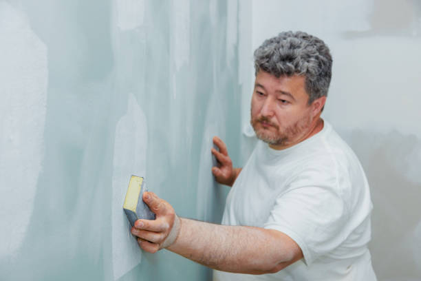 Best Biohazard Mold Removal  in Franklin Park, FL