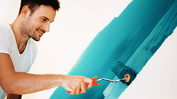 Best Mold Removal for HVAC Installations  in Franklin Park, FL