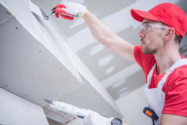 Best Mold Prevention Services  in Franklin Park, FL