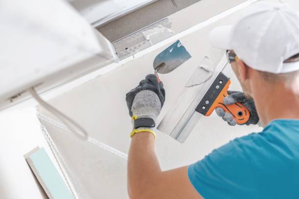 Best Airborne Mold Testing  in Franklin Park, FL